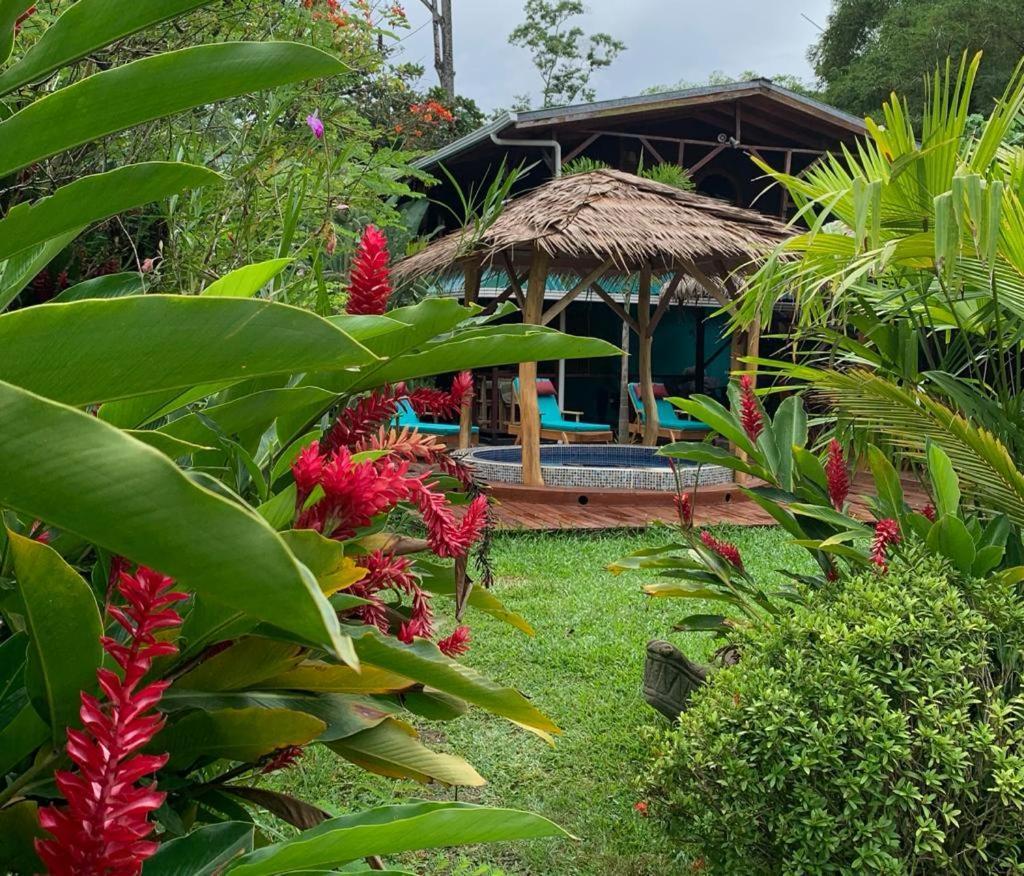 Bed and Breakfast Casa Mambo Cahuita Esterno foto