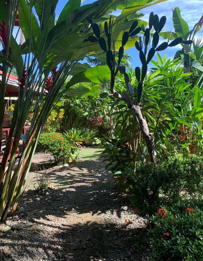 Bed and Breakfast Casa Mambo Cahuita Esterno foto